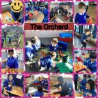The Orchard 